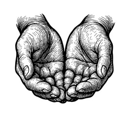 Two Hands Cupped Together in Detailed Engraving Style Black and White Hand Drawn Sketch