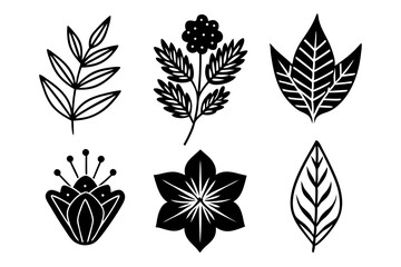 Set of Minimal Botanical Graphic Sketch Drawings