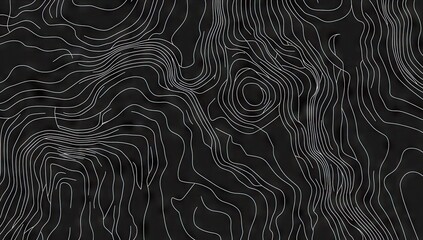 Abstract topographic map design (2)