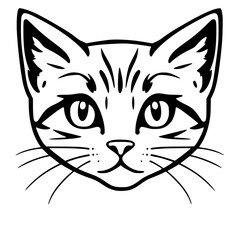 Cat face illustration with whiskers and expressive eyes, simple black lines on white background, cartoon style, feline features highlighted