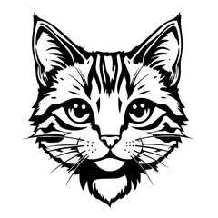 Obraz premium Front-facing black and white illustration of a domestic cat's head with prominent whiskers and striped markings on its forehead and cheeks