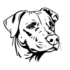 Dog Head Black and White Vector Graphic Illustration