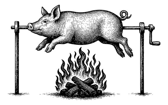 Engraving Style Illustration of a Pig Being Roasted over Open Fire