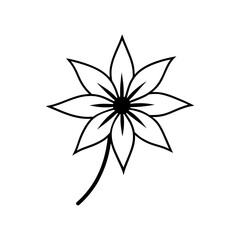 Flannel flower silhouette illustration