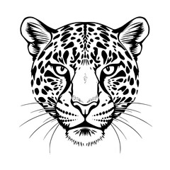 Leopard Head Vector Illustration, Black and White, Front View
