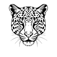 Leopard Head Vector Illustration Black and White Line Art