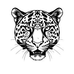Leopard Head Vector Illustration Black and White
