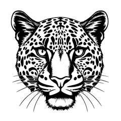 Leopard Head Vector Illustration Black and White Detailed