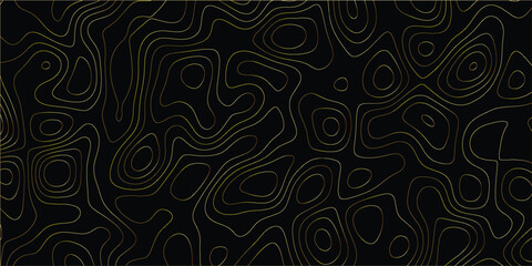 Sophisticated digital abstract artwork featuring complex organic patterns and fluid, interconnected line structures

