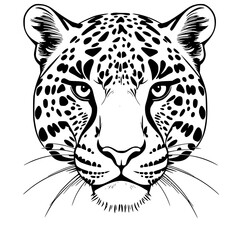 Leopard Head Vector Illustration Black and White Line Art