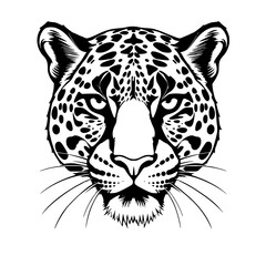 Jaguar Head Vector Illustration Black and White Graphic