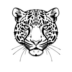 Leopard Head Vector Illustration Black and White