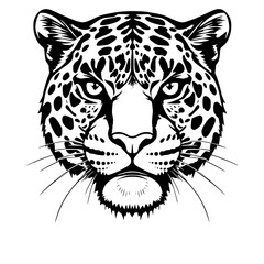 Jaguar Head Vector Illustration Black and White Detailed