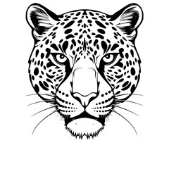 Leopard Head Illustration Black and White Graphic, Feline Animal Portrait