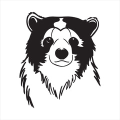 Andean Bear – The Only Native Bear of South America