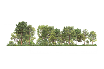 Group of tree. Green treeline isolated on white background.	PNG file