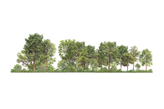 Group of tree. Green treeline isolated on white background.	PNG file