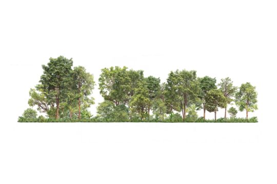 Group of tree. Green treeline isolated on white background.	PNG file
