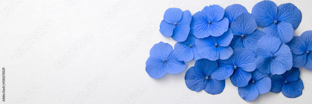 Aufkleber a top-down view of blue flower petals artistically arranged on a smooth gray background, creating a