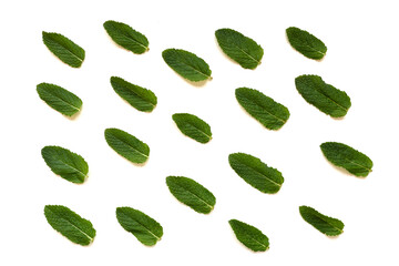 Fresh mint leaves are arranged in diagonal lines on a clean white background. The vibrant green color symbolizes freshness, summer, and the benefits of mint tea in a dynamic composition.