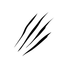 Claws marks, scratches of wild animals, vector nails rips of tiger, bear or cat paw sherds on white background.