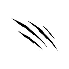 Claws marks, scratches of wild animals, vector nails rips of tiger, bear or cat paw sherds on white background.