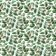 Watercolor seamless pattern with flowering branches, leaves and rosehip fruits