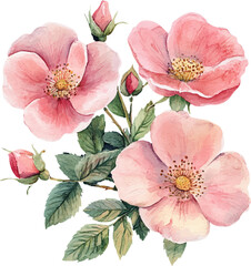 pink flowers
