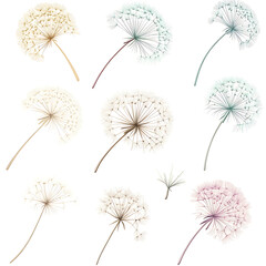 Obraz premium illustrations of various trees, leaves, grasses, and botanical elements on white background.