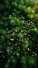 A vibrant, natural scene of lush green foliage interwoven with small white and yellow wildflowers, creating a fresh, serene atmosphere.  
