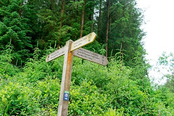 Postbridge England - 18 June 2024 - Trail marker to Bellever Tor in Dartmoor National Park in Devon England