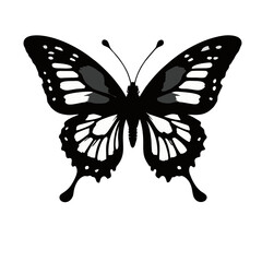 Minimalist Butterfly Vector Design
