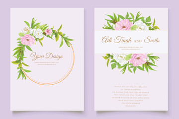 hand drawn poppy anemone background 