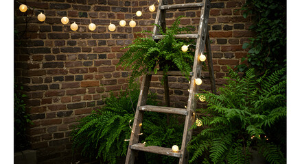 Creative Display Of Ferns And Fairy Lights On A Repurposed Wooden Ladder