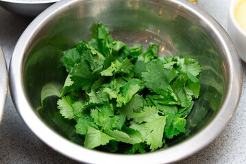 Fresh cilantro leaves in stainless steel bowl. Bowl filled with freshly picked cilantro leaves, commonly used as a garnish or herb in various international cuisines and recipes.