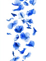 Delicate blue hydrangea petals gracefully falling against a pristine white background creating a serene and ethereal floral composition with soft lighting