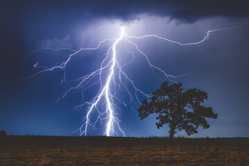 Lightning bolt striking from dark sky with a lone silhouetted tree