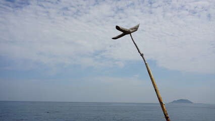 a bird made of wood built on the beach