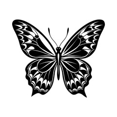 Butterfly silhouette vector Designs 3