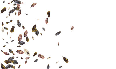 Adobe Illustrator Artwork