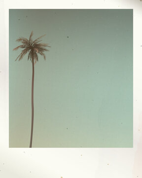Old polaroid photo of lonely coconut palm tree and sky background with stained effect graphic illustration have blank space.