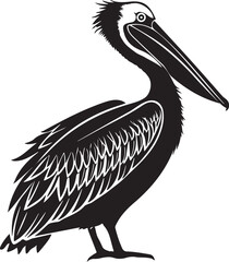 Pelican bird silhouette vector design with white background. 