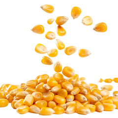 Fototapeta premium corn flakes background