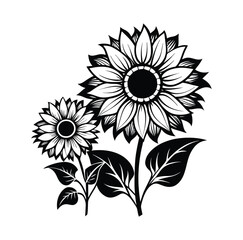 Sunflower Black And White Stock Vectors, Clipart and Illustrations 9.eps