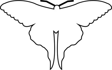 butterfly icon button, vector, sign, symbol, logo, editable stroke, flat design style isolated decorative element. Vector of various insect forms in trendy outline style. with transparent background