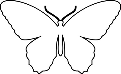 butterfly icon button, vector, sign, symbol, logo, editable stroke, flat design style isolated decorative element. Vector of various insect forms in trendy outline style. with transparent background