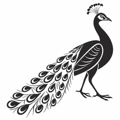 indian peafowl black silhouette icon vector