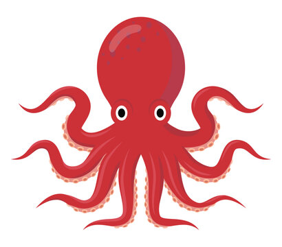 タコのイラスト