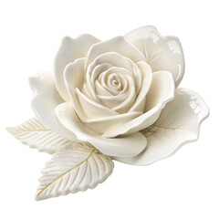 white rose on white background