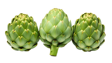 Obraz premium Three fresh raw artichokes